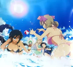 【中古】ポスター お風呂ポスター 集合(ビーチ) 「3DSソフト 閃乱カグラ Burst -紅蓮の少女達-」 イーカプコン購入特典