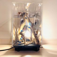 サビタの記憶　LED　流木アート　インテリア　アクリルBOX T13