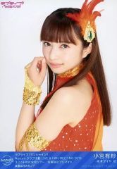 Item thumbnail for item 8dbf6188-9f39-4a54-93c7-e360db8c307c