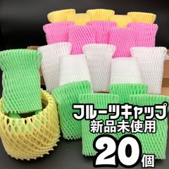 フルーツキャップ　果物保護　青果保護