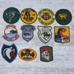 テキーラ様11枚
