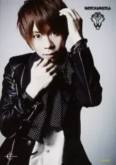 【中古】生写真(男性) GOTCHAROCKA/SHINGO/上半身・衣装黒・白・ドット・両手上げ・背景グレー/CROSS CAT特典