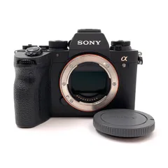 2025年最新】sony α9 ストラップの人気アイテム - メルカリ