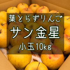 青森りんご 葉とらず サン金星 小玉10kg