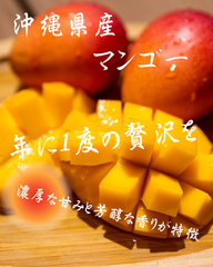【冷蔵便発送】甘〜い！　沖縄県産　アップルマンゴー　1kg （2玉〜4玉） 送料無料　アーウィン種　果物　フルーツ　南国マンゴー　訳あり品　果物　旬のフルーツ