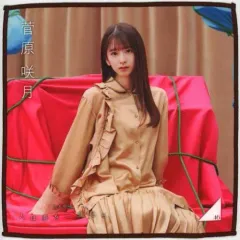 2026年最新】菅原咲月 タオルの人気アイテム - メルカリ