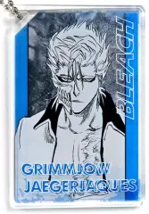 BLEACH 扉絵ポストカード ドミノ風アクリルキーホルダー グリムジョーセット JAS】『BLEACH』ドミノ風アクリルキーホルダーコレクション