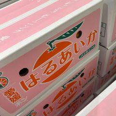 あいか48号　プリンセス