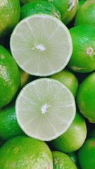 [5月29日木曜日に入荷予定、入荷次第出荷]　生鮮 メキシコ産ライム　特選　１箱10kg
