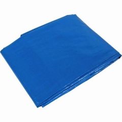 Item thumbnail for item 26ca5a51-0bee-4cbd-b0ea-62cdc9877f9c