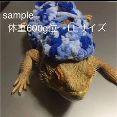 【22 コス】フトアゴヒゲトカゲ 爬虫類 洋服 ニットベスト M