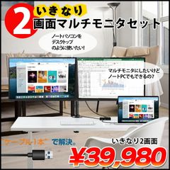 いきなり2画面マルチモニタセット USB-C1本で接続完了 らくらく複数画面　モニターアームでデスクすっきり デュアル 24インチ液晶の大画面 中古良品