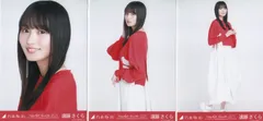 乃木坂46 会場限定ランダム生写真 遠藤さくら 真夏の全国ツアー2023 赤×白コーデ 大阪 コンプ