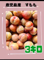 2025年最新】鹿児島 すももの人気アイテム - メルカリ