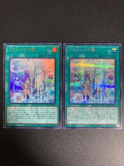 星見獣ガリス、真紅眼の飛竜、ダークネスデストロイヤー未開封
