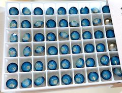 SWAROVSKI #1088 SS39　ホワイトオパールスターシャイン