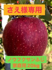 さえ様専用】信州長野県松川町産りんご 幻のふじ「サンふじ」家庭用約