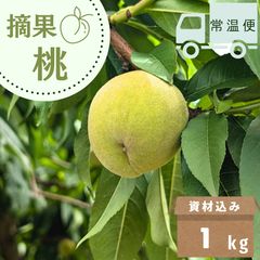 山形県産 加工用 若桃 摘果桃 20キロ - メルカリ