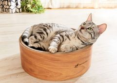 猫用品　爪とぎ　スクラッチャー　mju:ガリガリディッシュスクラッチャー★お得★