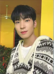 SEVENTEEN あいのちから WONWOO トレーディングカード クリスマス