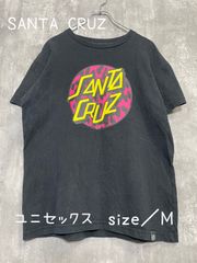 Tシャツ／半袖／ロゴプリントTシャツ／SANTA CRUZ／サンタクルーズ／ブラック