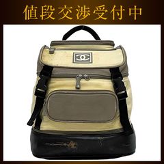☆難アリ☆シャネル☆スノーライン☆ナイロンリュック☆国内直営店購入 