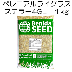 ペレニアルライグラス種子 品種名：ステラー4GL 1kg 紅大貿易