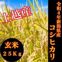 米　コシヒカリ　新潟米　お米　玄米　こしひかり