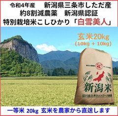 こしひかり玄米10kg+10kg　新潟県三条市旧下田産　減農薬特別栽培米100%