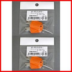 【セール中】パナソニック ガードプレート用キー WN9912K 2コ入 (2個入×2袋)