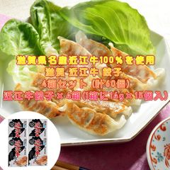 滋賀 近江牛 餃子 4箱セット (計60個)