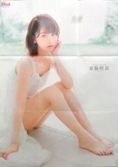 Item thumbnail for item 1267443c-0e7b-4aa2-955f-3b2db0a14da9