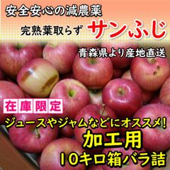 【加工用10キロ箱】減農薬「サンふじ」青森産完熟りんご！お得な10キロ箱バラ詰！
