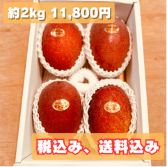 アーウィン秀品 4玉 約2kg
