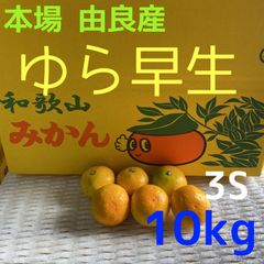 和歌山 由良産 ゆら早生 3S 10kg