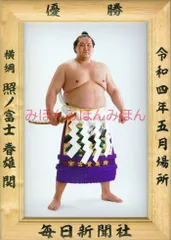 メル55507です。照ノ富士 2点 メル55507です。照ノ富士 2点 メル55507です。照ノ富士 2点