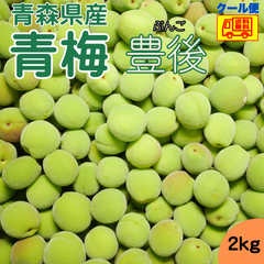クール便込み　青森県産　青梅　豊後２ｋｇ　送料無料！
