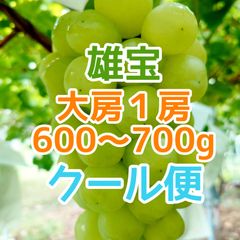 黄金シャインマスカット 甘熟家庭用房2kg 箱込み長野県産種無しぶどう