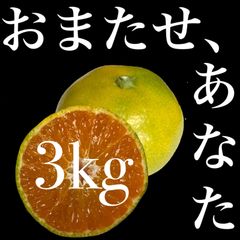 ゆら早生　3kg