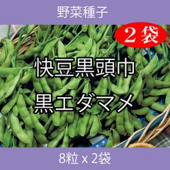 野菜種子 TVK08 快豆黒頭巾黒エダマメ 8粒 x 2袋