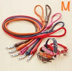 e) Petio ぺティオ ADD.MATE アドメイト Maniera マニエラ リード＆カラー セット サイズM 中型犬用 ※アウトレット品  (ネコポスもしくはゆうパケ発送)