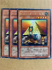 ピラミッドタートル　BE2