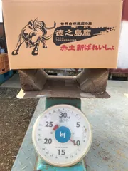 2025年最新】徳之島 じゃがいもの人気アイテム - メルカリ