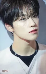 【中古】コレクションカード(男性) SEVENTEEN/DINO(ディノ)/背景青/CD「JAPAN 2ND SINGLE『舞い落ちる花びら(Fallin’ Flower)』」Loppi・HMV特典オリジナルスペシャルフォトカード