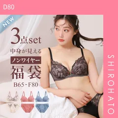 10％OFF【SHIROHATO公式】【正規品・新品】選べる4タイプ ノンワイヤー ブラジャー ショーツ 3点セット 刺繍レース＆ワントーンレース 福袋 アンダー80 下着 レディース 大きいサイズ(D80)
