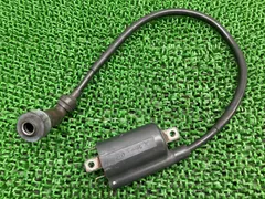 ドラッグスター250 イグニッションコイル 129700-2272 ヤマハ 純正 VG02J DS250 XVS250 プラグコード 機能的問題なし 【中古】 17のサムネイル
