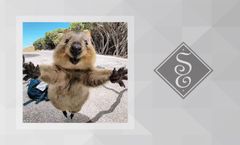 shop-thumbnail