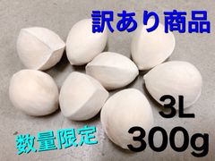 愛知県祖父江産　銀杏　訳あり銀杏　300g