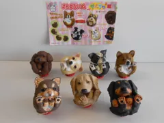 ♯Jsi20DJ　まんまるどうぶつ　まんまるいぬやんちゃ編人気3種 Amazon.co.jp: ♯Jsi20DJまんまるどうぶつまんまるいぬやんちゃ