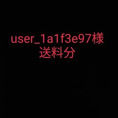 user_1a1f3e97様専用送料分